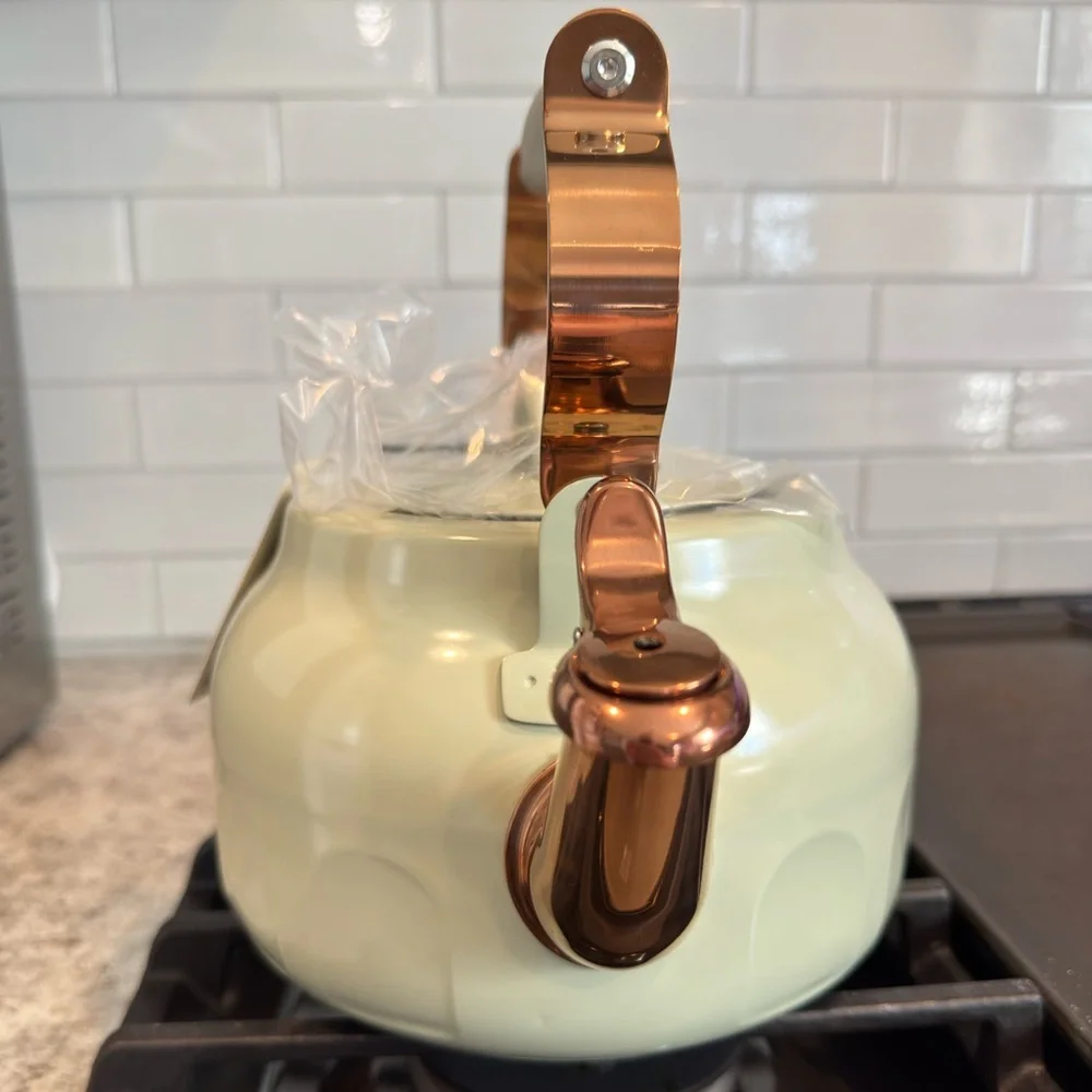 Hearth & Hand 2qt Stainless Steel Arch Cutout Teapot Serene Green- RARE FIND